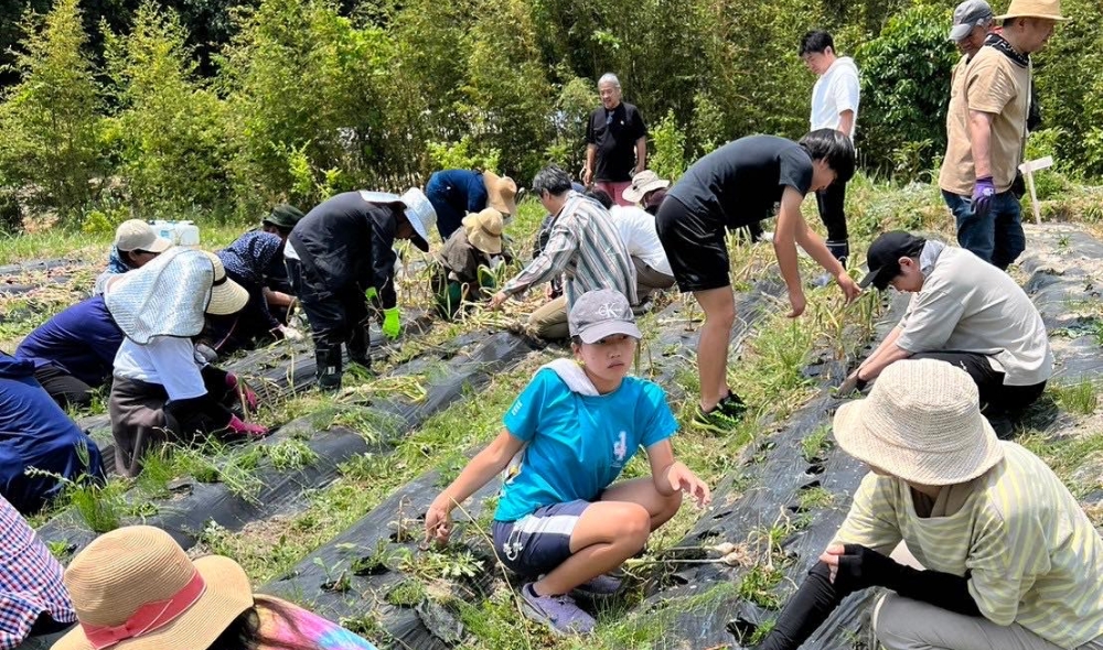 糸島自然栽培農学校