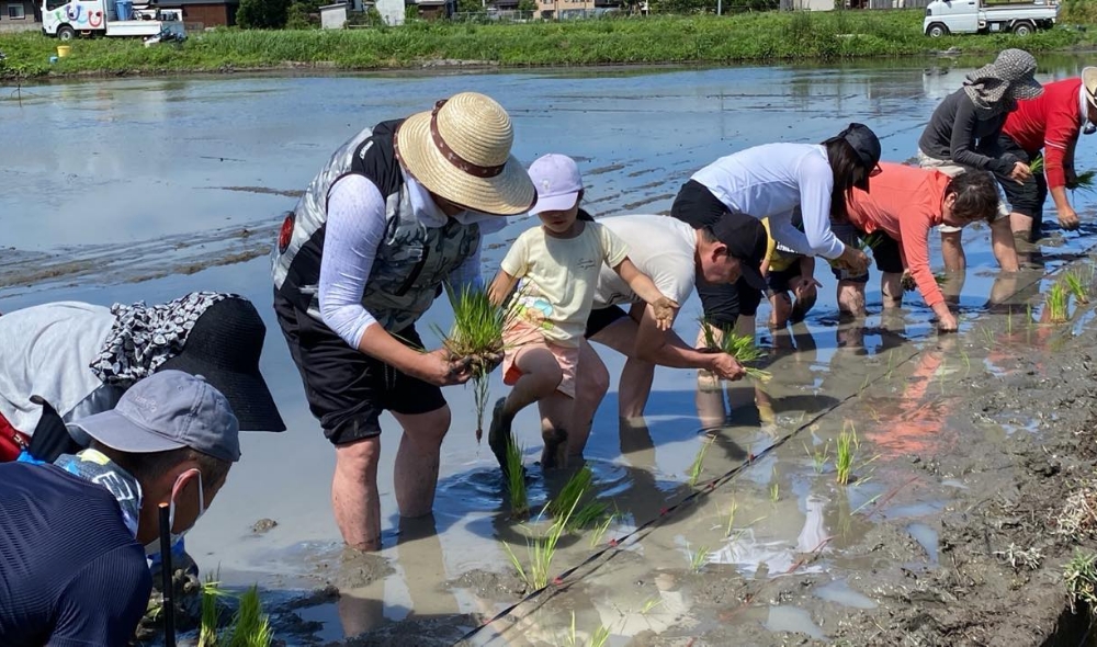 自然栽培の田植えイベント